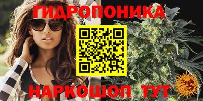 МДПВ Тара