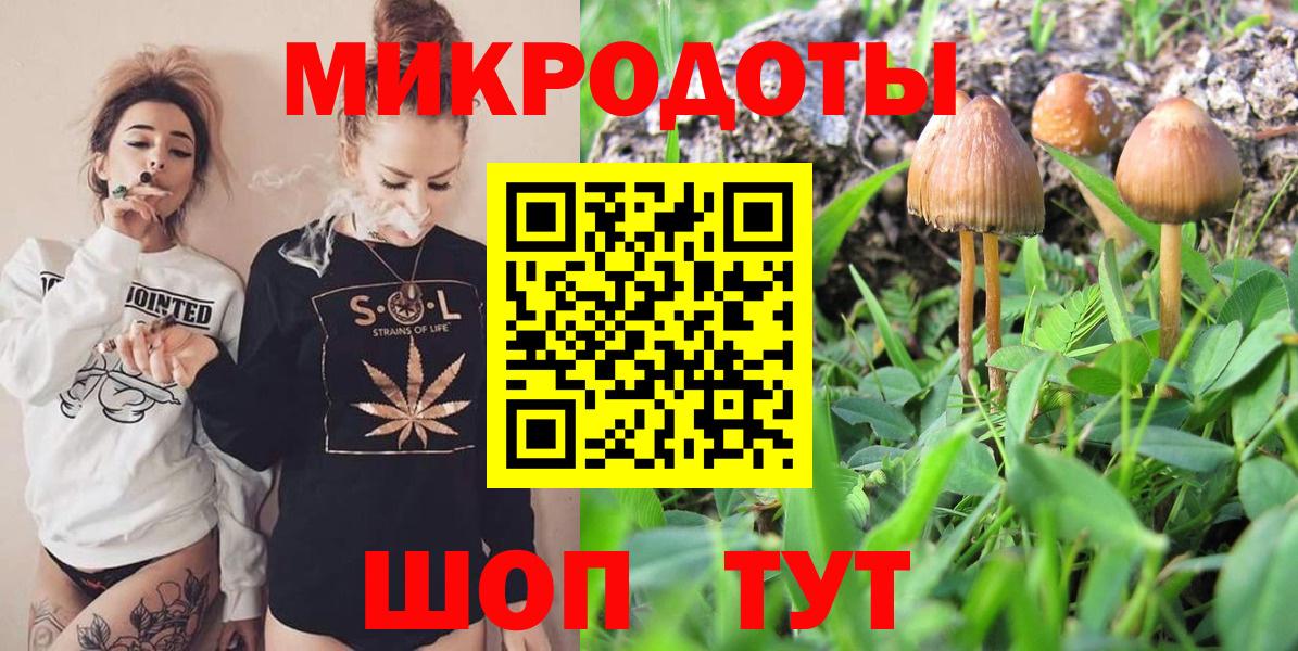 Новочеркасск  Псилоцибиновые грибы MAGIC MUSHROOMS  Вход с VPN  Псилоцибиновые грибы MAGIC MUSHROOMS 